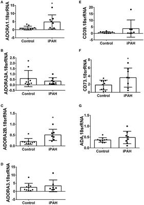 Switching-Off Adora2b in Vascular Smooth Muscle Cells Halts the Development of Pulmonary Hypertension